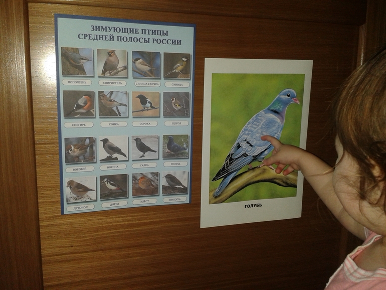 ТН Встречаем зиму День Второй