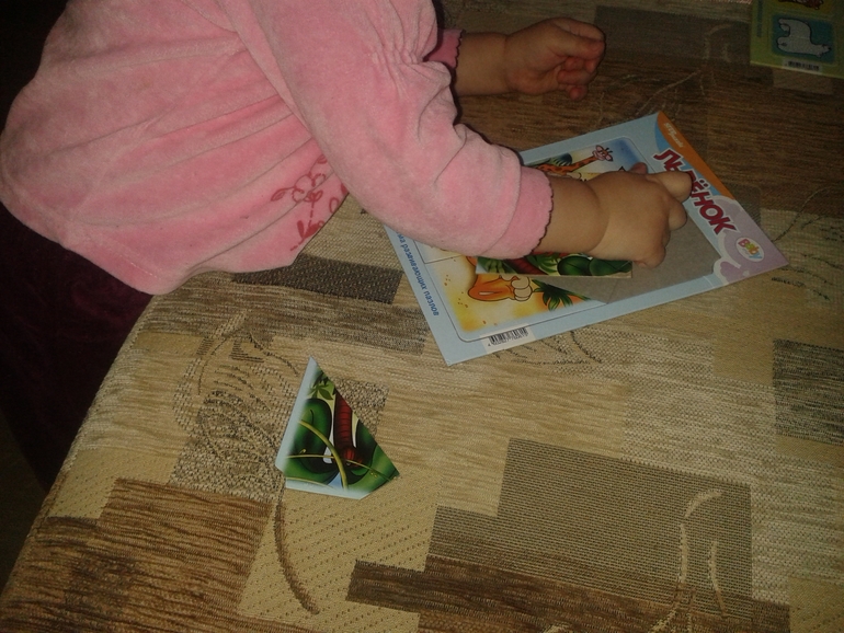 ТН ЦВЕТА День Обобщающий