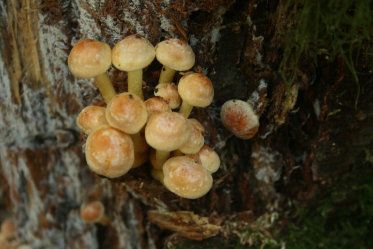 Осенние картинки