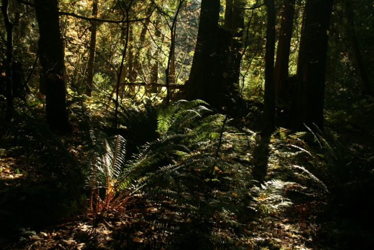 Осенние картинки