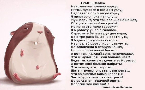 043cd07f7370dd3f20b40fceceac66be.jpg