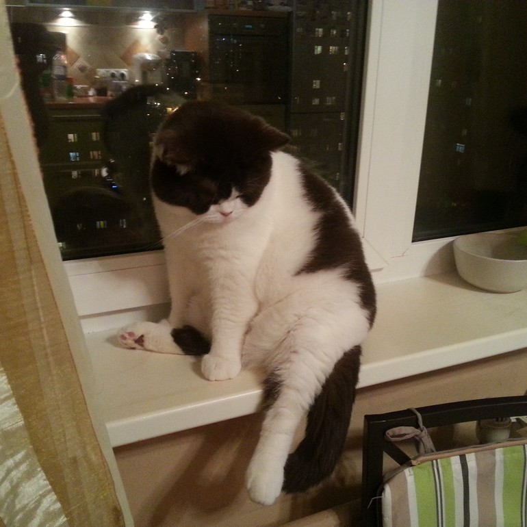 у нас своя Олимпиада :)