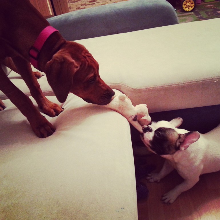 у нас своя Олимпиада :)