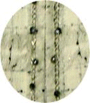 одежда b*o**rn