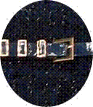 b_o**r*n 2013 школа