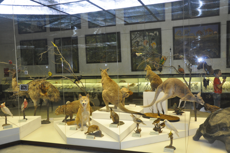 Дарвиновский музей