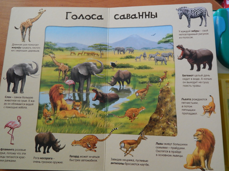 Книжный хваст №... (летнее пришло)