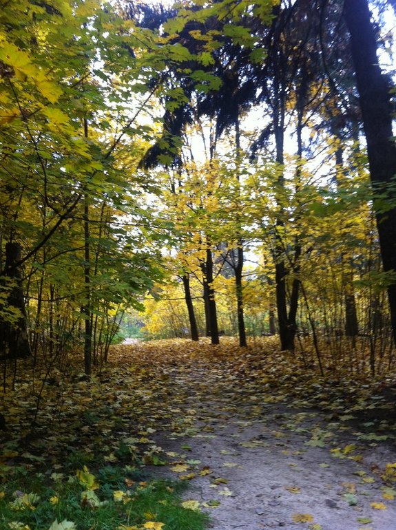 Осенний кайф