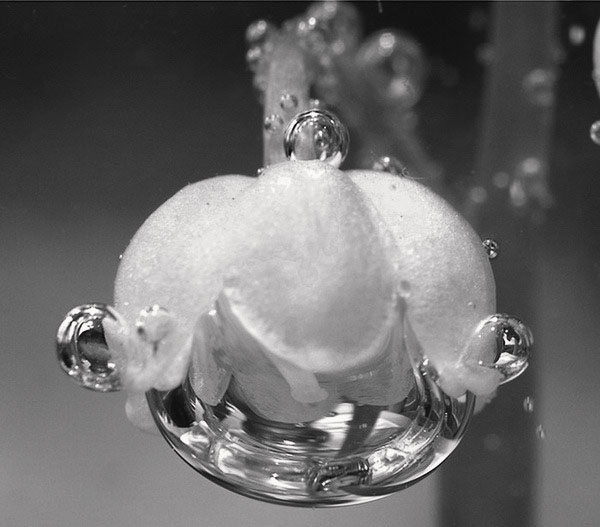 BDD3G-XM7FB-BD2HM-YK63V-VQFDK