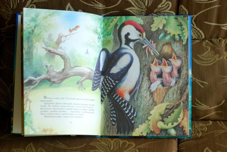 Небольшой улов