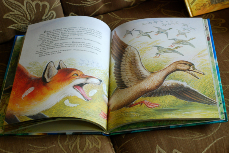 Небольшой улов