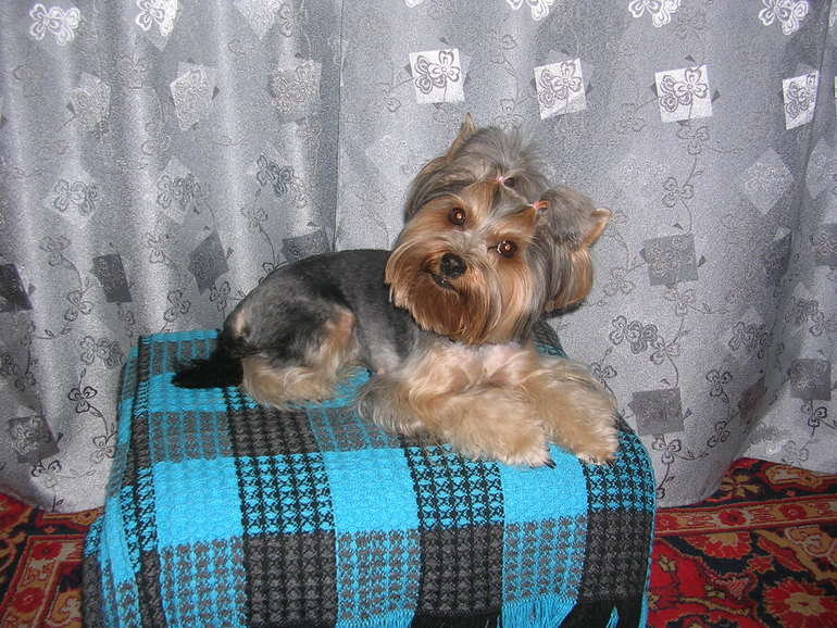 Моя радость!