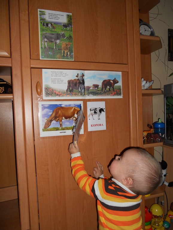 Я - твоя коровка...