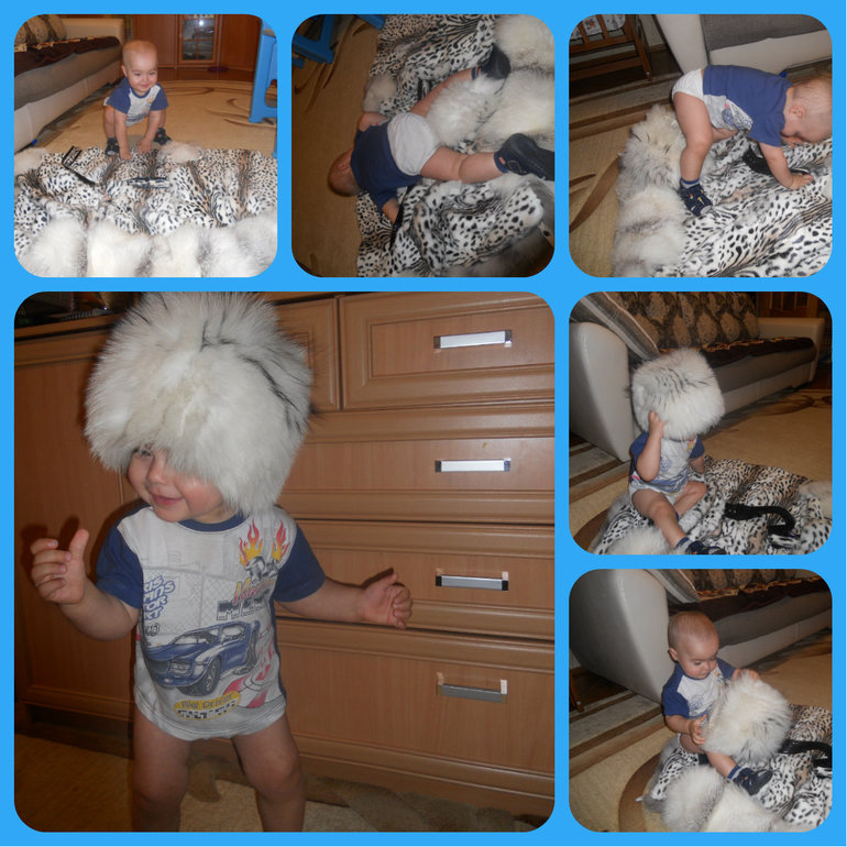 Домашние животные - кошечка и собачка...