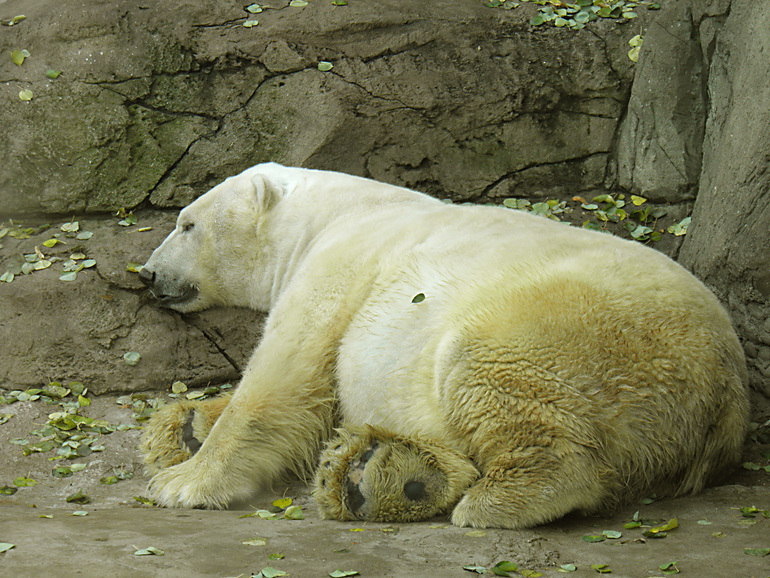d7c450d1ab4346f5500d4a94a08b4fa4.jpg