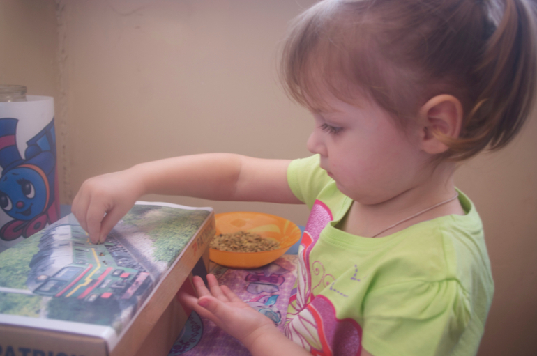 ТН "Путешествие в страну Паровозия" День 4.