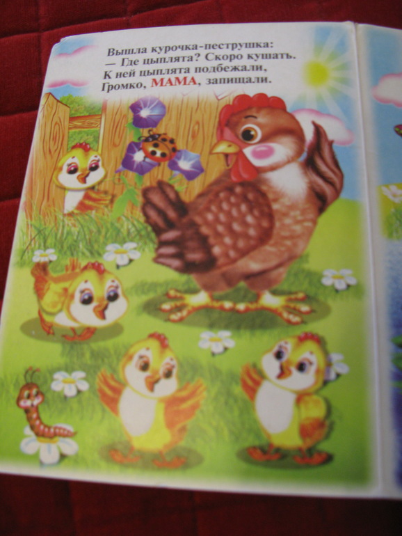 ФМ Курочка Ряба. День третий. Курица и цыпленок