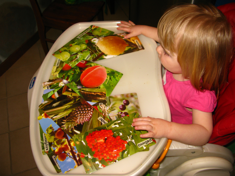 ТН Деревья, день 4