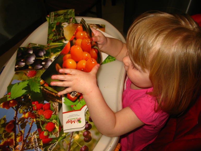 ТН Деревья, день 4