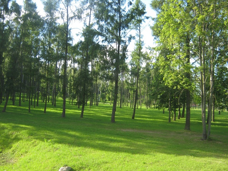 Велосипедный сезон открыт!!!!