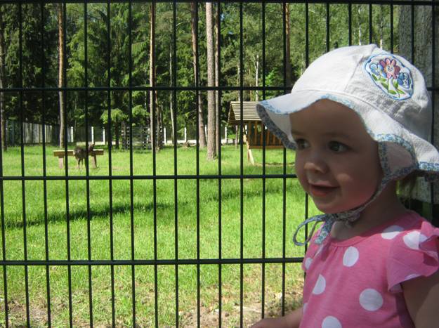 Беловежская пуща