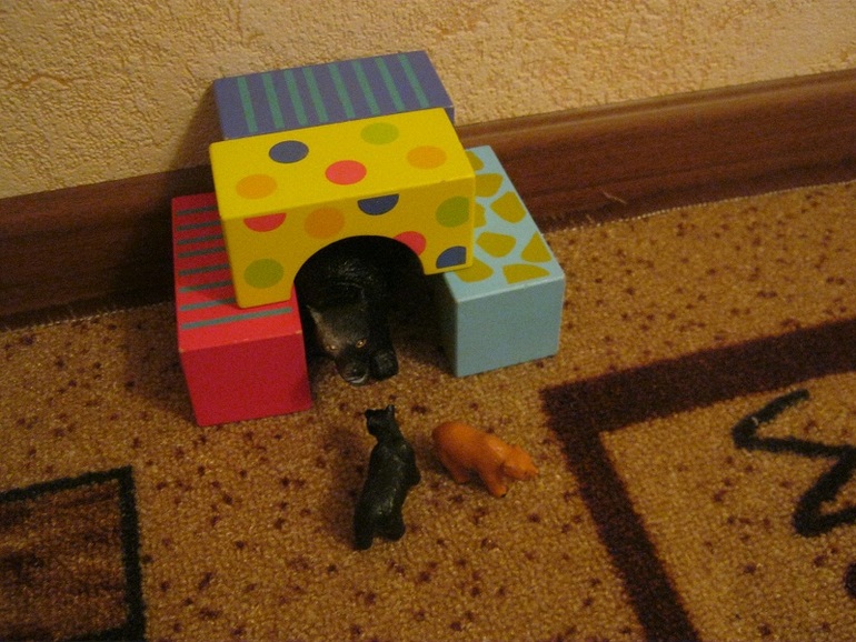 ТН Кто что строит д 3 Что строят звери