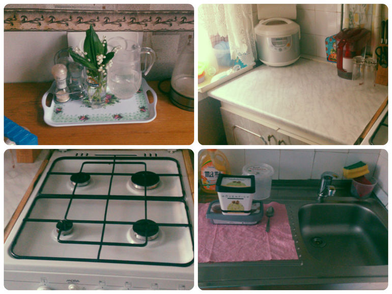 Дипломная работа. Один день из жизни Флайледи.