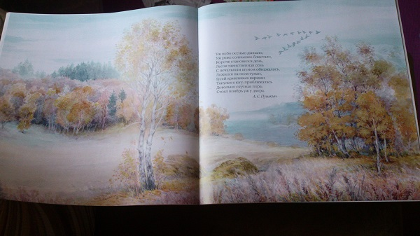 Книжный шкаф: обновки