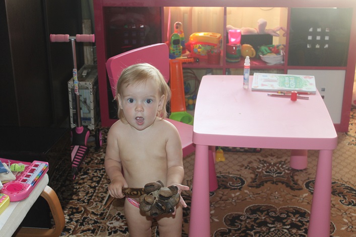 Занятие Шичида