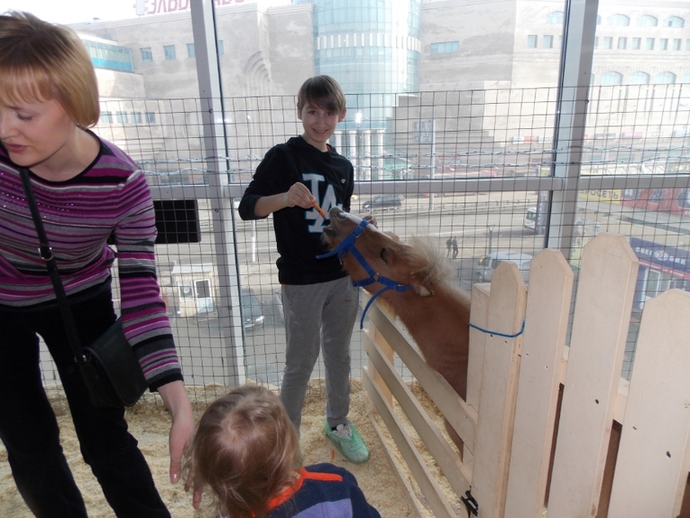 Трогательный зоопарк!