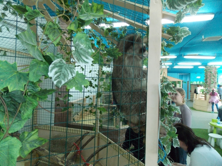 Трогательный зоопарк!