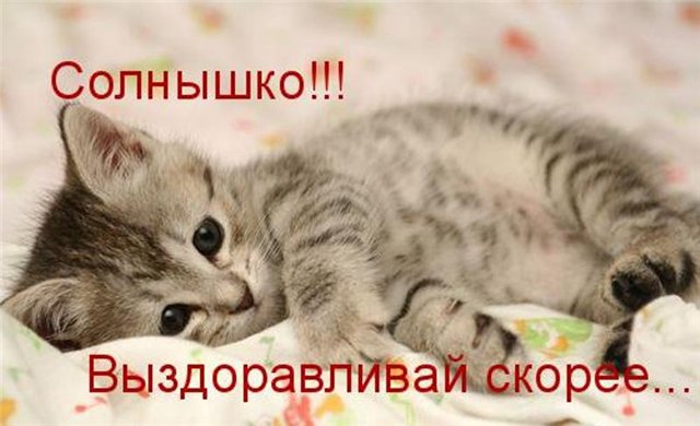 6d190f5e6ef76eabda2d3b96aeeca7af.jpg