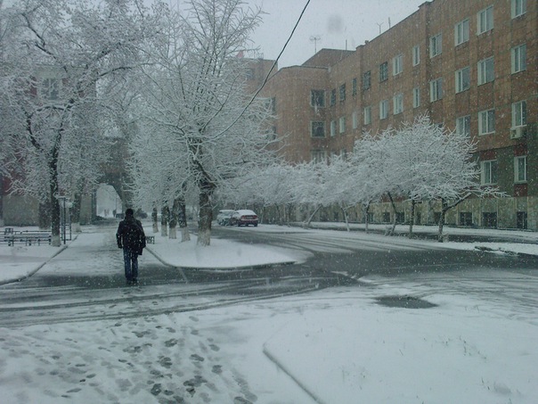 1 ноября