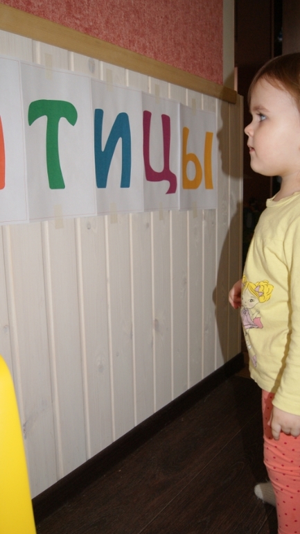 ТН Птицы. День 1.