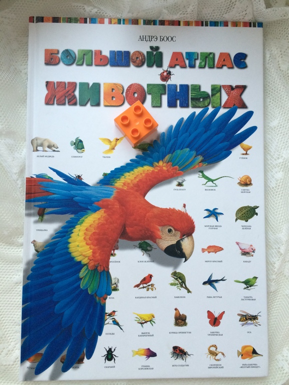 3 июня