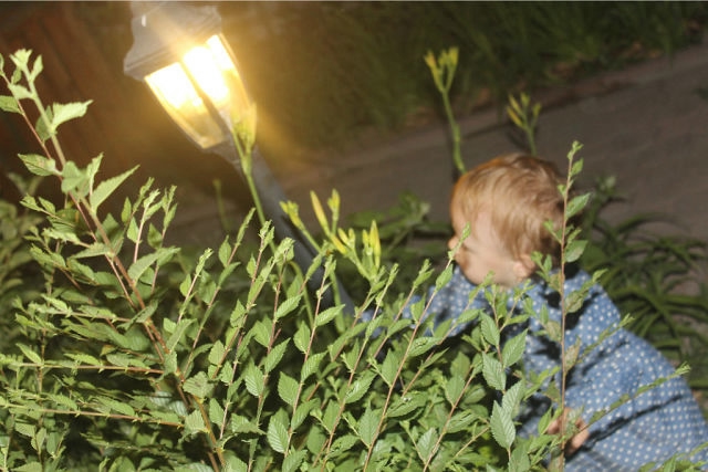 Наш маленький жабенок))) Сезон открыт)