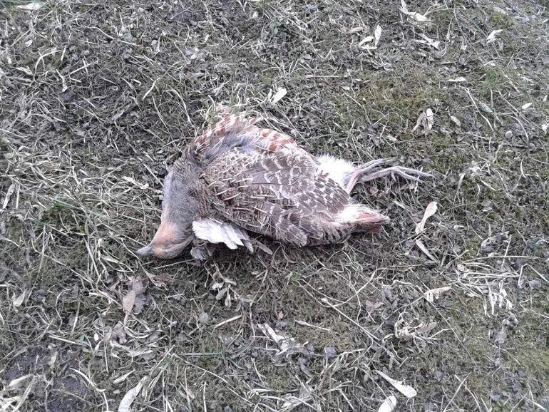 Вот,что бывает,если мужа в поликлинику берешь)))