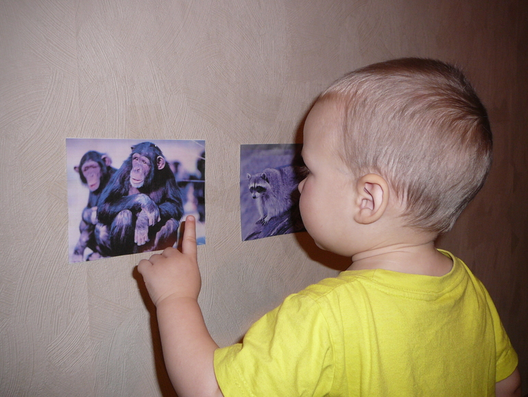 ТЗ 