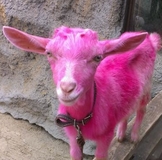 Спасибо всем, с кем менялась!