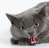 Спасибо всем, с кем менялась!