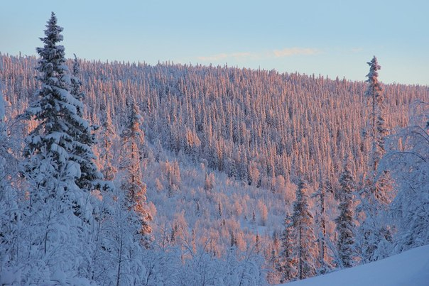 Заполярье (фото моих земляков)