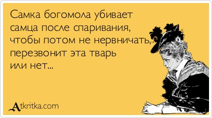 Ржу. Спасибо "Юмору"