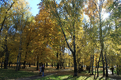 a10f56e50122a41efb269bd66348be81.jpg