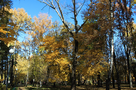 c7bc0704e63c5917a3f6c5fa446caa93.jpg