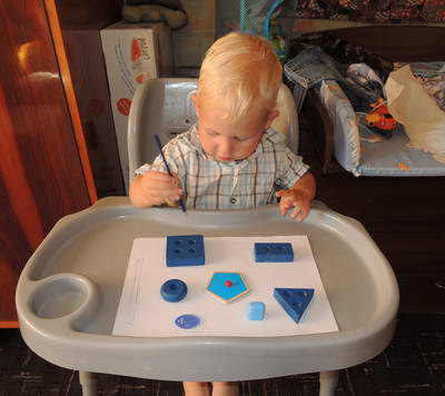 ТЗ 28 Дождик Шичида. 1г 10 мес