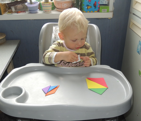 ТД 24 Цветы. 1г 10 мес