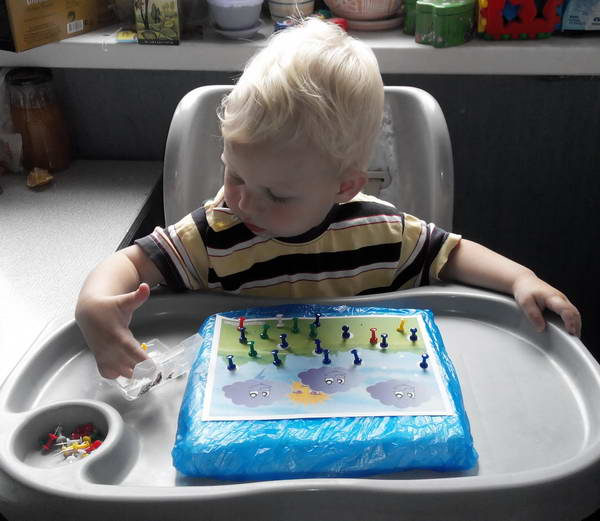 ТЗ 28 Дождик Шичида. 1г 10 мес