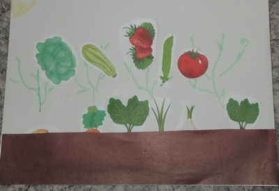 ТН 20 Как растут овощи. 1г 9 мес.