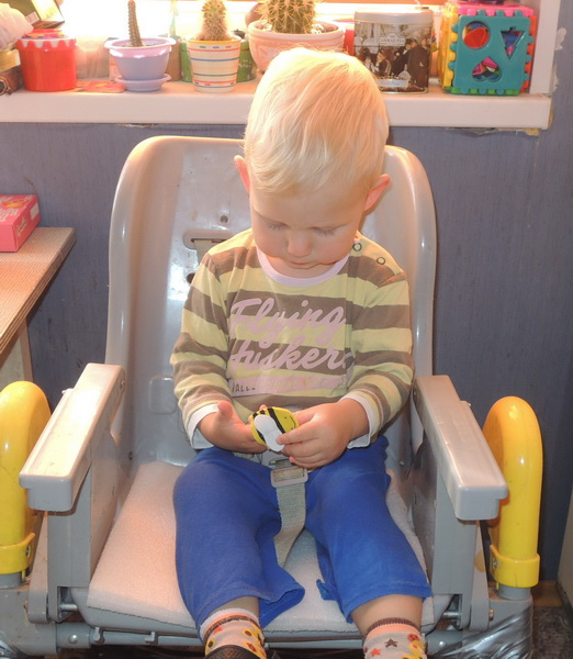 ТН 20 Как растут овощи. 1г 9 мес.