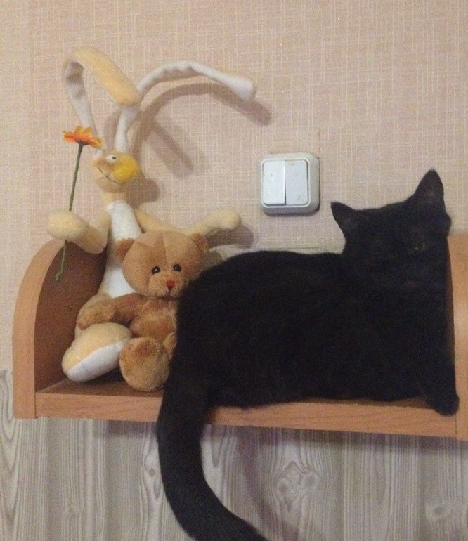 Мы сделали это!